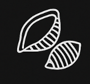 Bildschirmfoto 2025-08-18 um 10.12.35